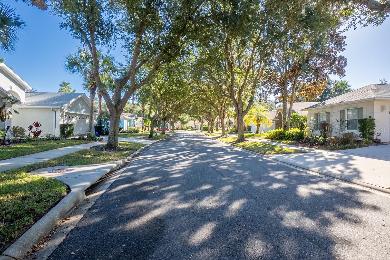 VILLAGE D1-B/GRAND HAVEN - Residential