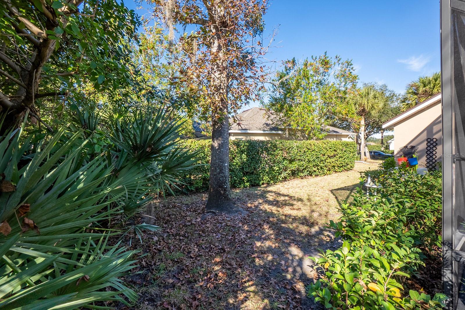 VILLAGE D1-B/GRAND HAVEN - Residential