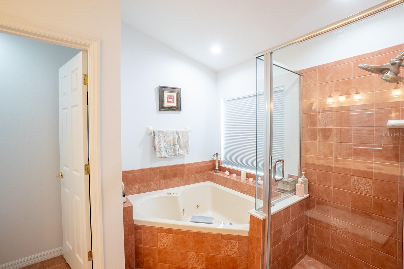 VILLAGE D1-B/GRAND HAVEN - Residential