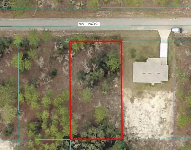 Just over a quarter of an acre located in the quiet and scenic Rainbow Lakes Estates community of Dunnellon, this spacious vacant lot offers the perfect canvas for your future home. Nestled in a peaceful area surrounded by nature, you'll enjoy the tranquility of country living with the convenience of nearby amenities. This property sits in a non-HOA community. Whether you're planning a site-built home or looking for a long-term investment, this property provides excellent potential. Close to Rainbow Springs State Park, the Rainbow & Withlacoochee Rivers, and just a short drive to shopping, dining, and medical facilities in Dunnellon, Ocala, Gainesville and Crystal River, this location brings together the best of Florida living. Take advantage of this opportunity to own a piece of paradise - your future starts here!