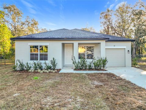 A home in CITRUS SPRINGS