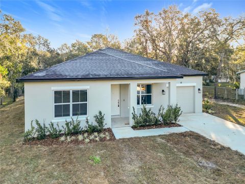 A home in CITRUS SPRINGS