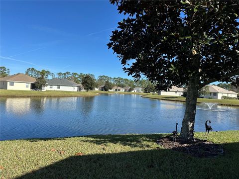 A home in PALM COAST