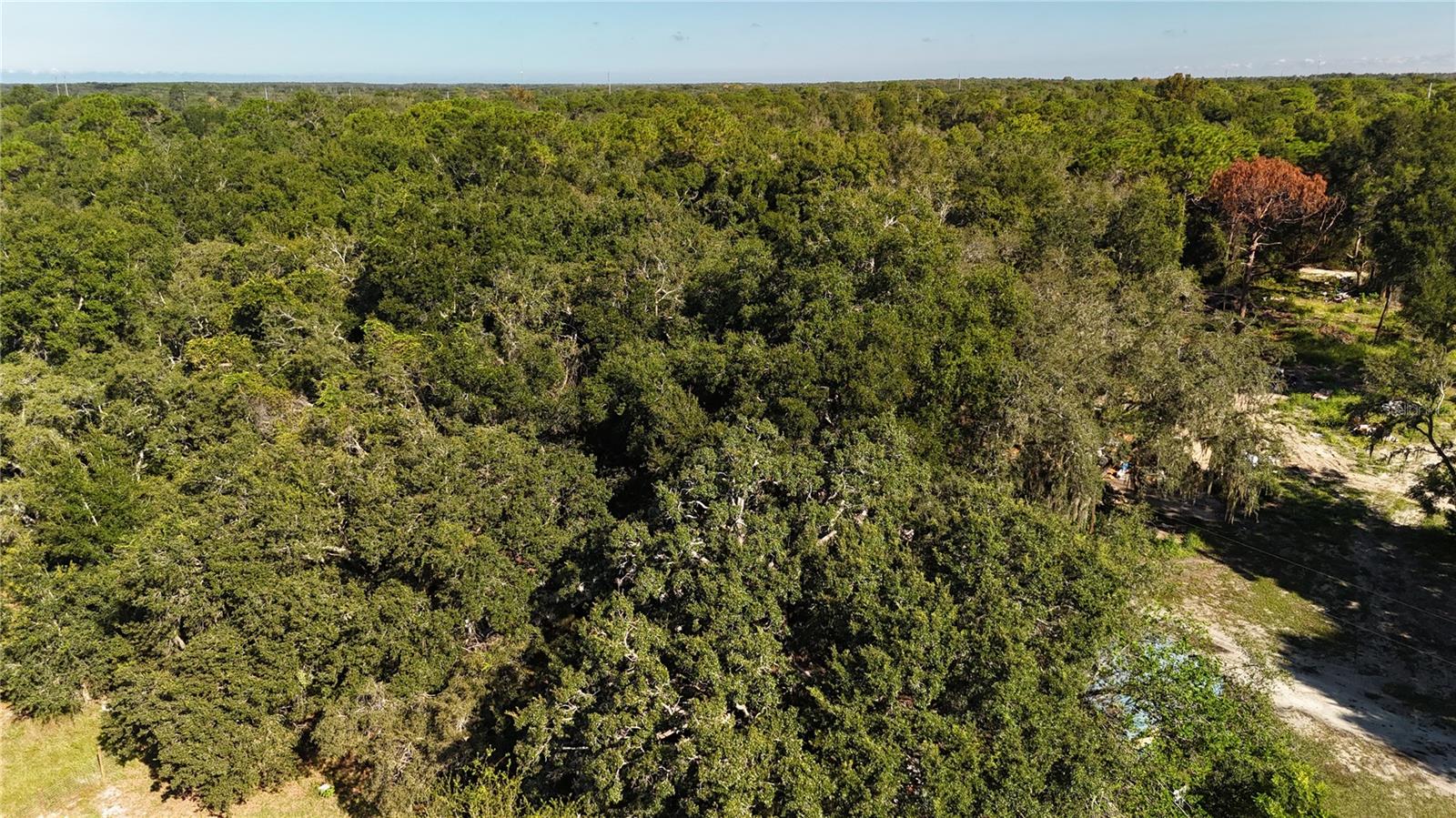 SHERWOOD FOREST UNREC - Residential