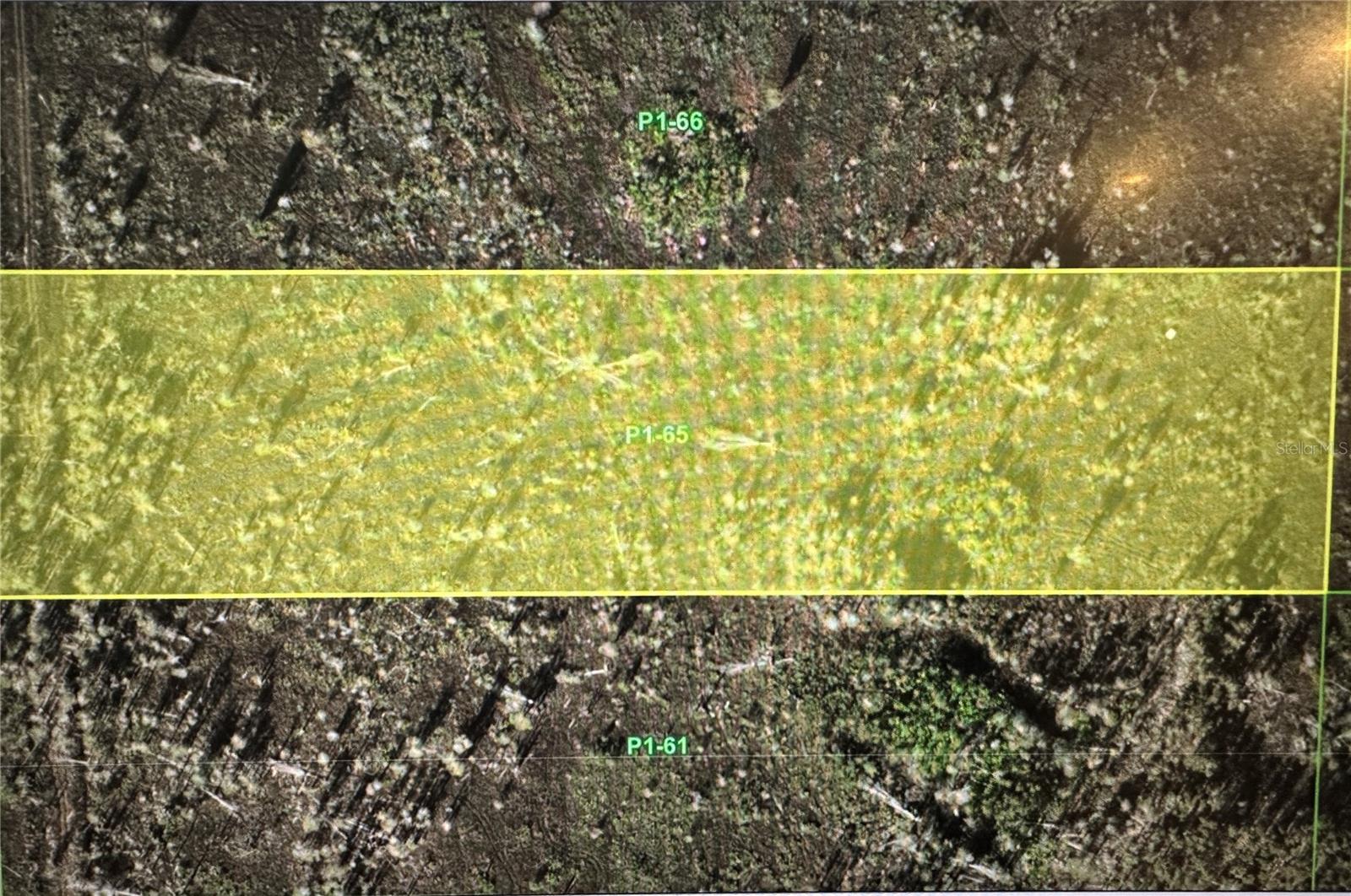 Discover the perfect blend of privacy and opportunity on this 2.5-acre homesite on Oil Well Road. Only 15 minutes from downtown Punta Gorda! With AG zoning and no HOA or restrictions, this property is ideal for building your dream home, workshop, or agricultural retreat. Whether you're looking for space to spread out, keep animals, or enjoy peaceful country living, this property provides the flexibility and freedom you need. Don't miss this rare chance to own acreage with endless possibilities!