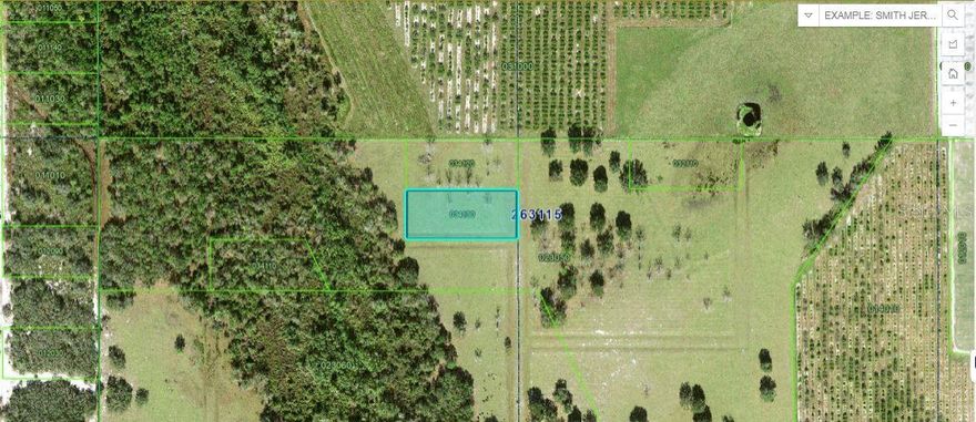 This 1.29-acre vacant residential lot on Mills Road in Fort Meade, Florida, offers a spacious and private setting to build your dream home. Enjoy peaceful country living with plenty of room for outdoor activities or future expansion, while still being conveniently close to local amenities and major roads. A great opportunity to create your ideal Florida lifestyle