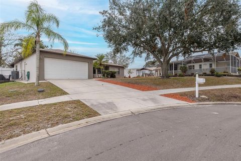 A home in PORT RICHEY