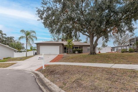 A home in PORT RICHEY