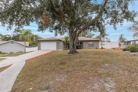 A home in PORT RICHEY