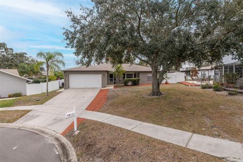 A home in PORT RICHEY