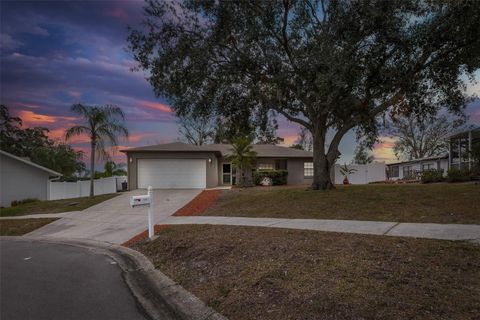 A home in PORT RICHEY