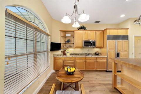 Tiny photo for 1322 Augustine Drive, The Villages, FL 32159 (MLS # G5113329)