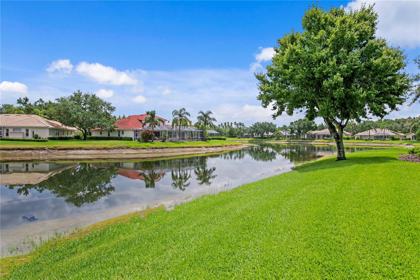 ARBOR GREENE PH 3 UNIT 8 - Residential