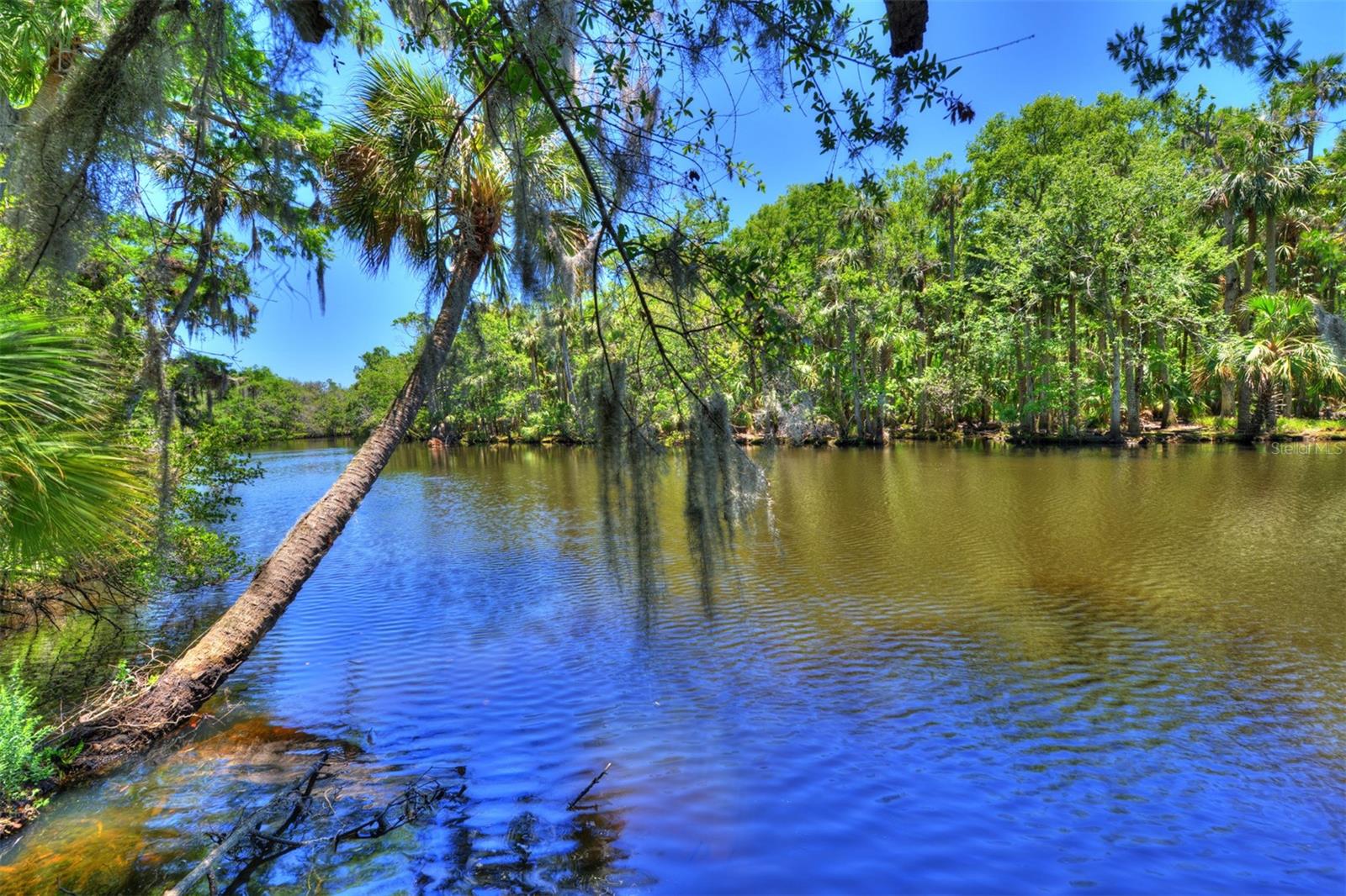 SPRUCE CREEK FLY IN - Residential