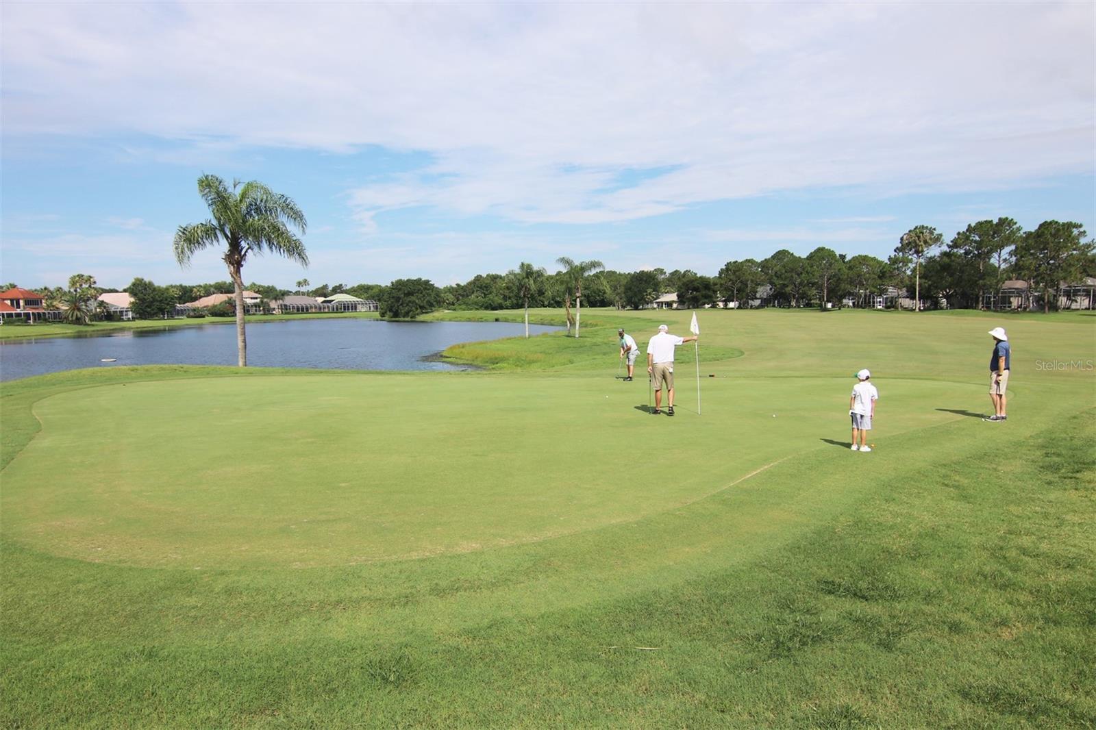 SPRUCE CREEK FLY IN - Residential