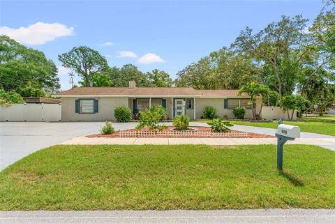 A home in PALM HARBOR