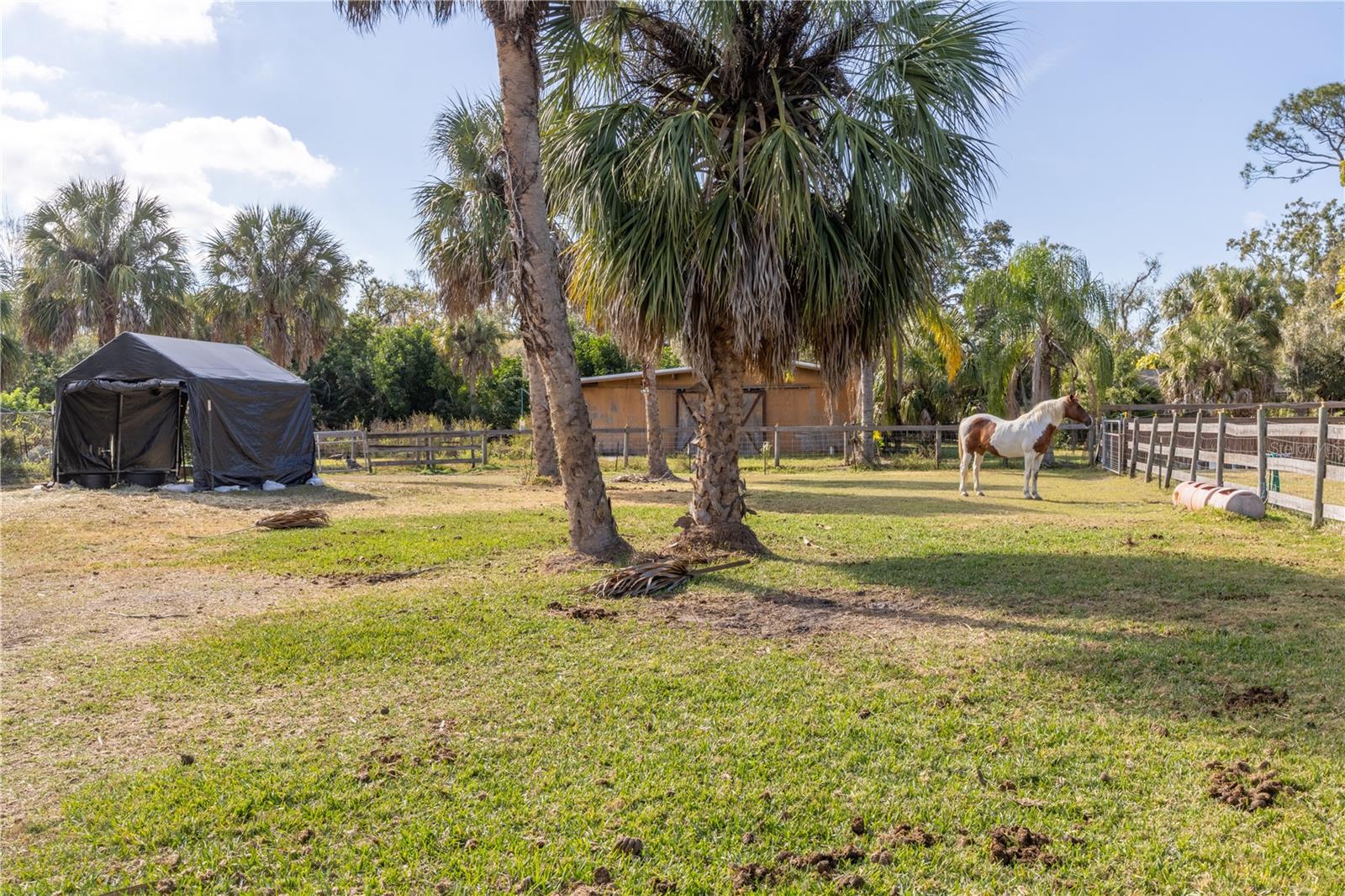 PONY TRAILS - Residential