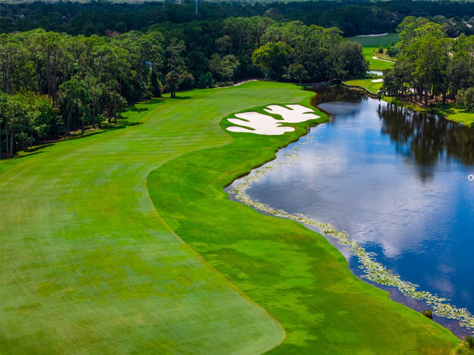 TOMOKA CDD AREA WITH MOSQUITO CONTROL - Residential