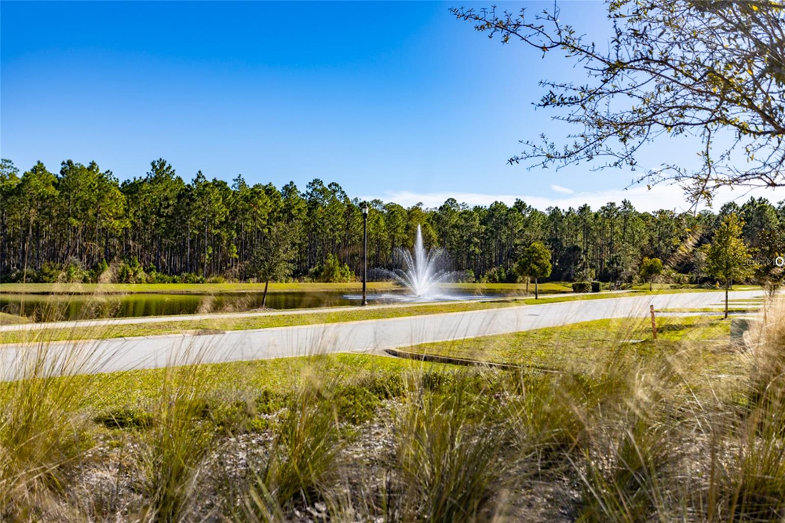 TOMOKA CDD AREA WITH MOSQUITO CONTROL - Residential