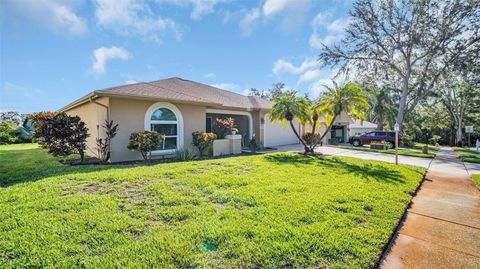 A home in PALM HARBOR