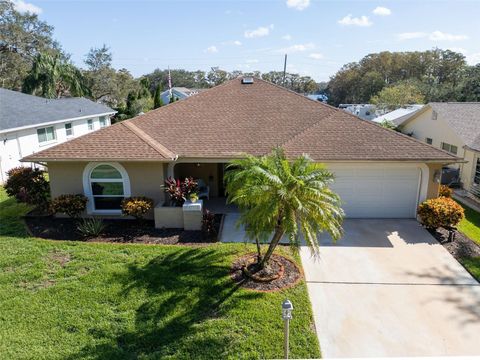 A home in PALM HARBOR