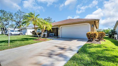 A home in PALM HARBOR