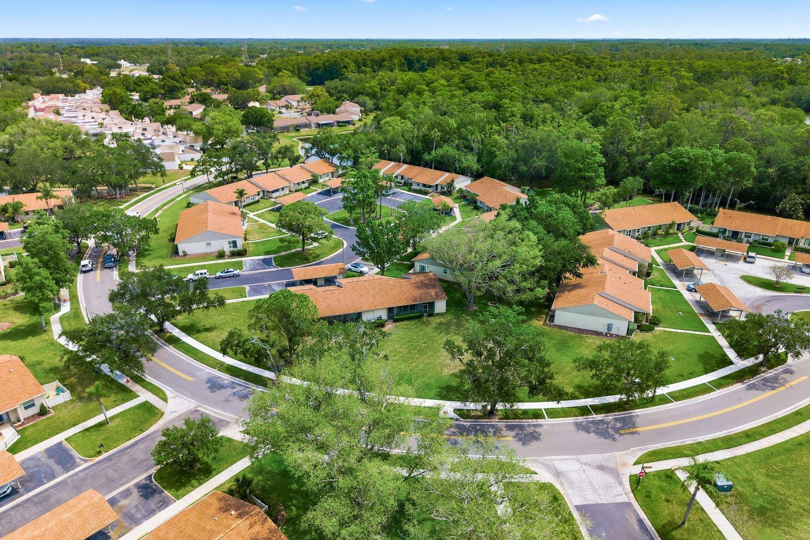 EAST LAKE WOODLANDS CLUSTER HOMES - Residential