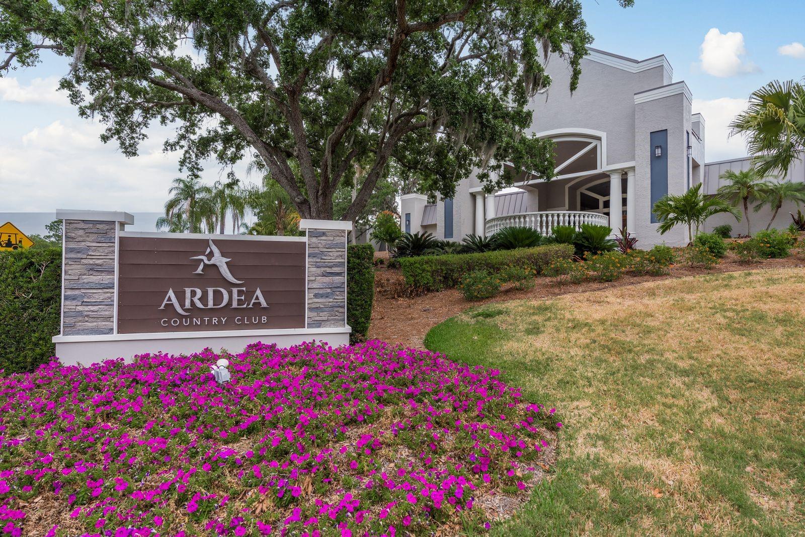 EAST LAKE WOODLANDS CLUSTER HOMES - Residential