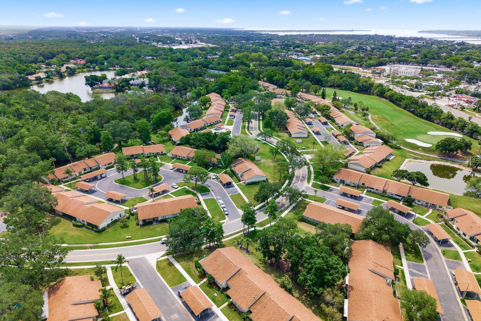 EAST LAKE WOODLANDS CLUSTER HOMES - Residential
