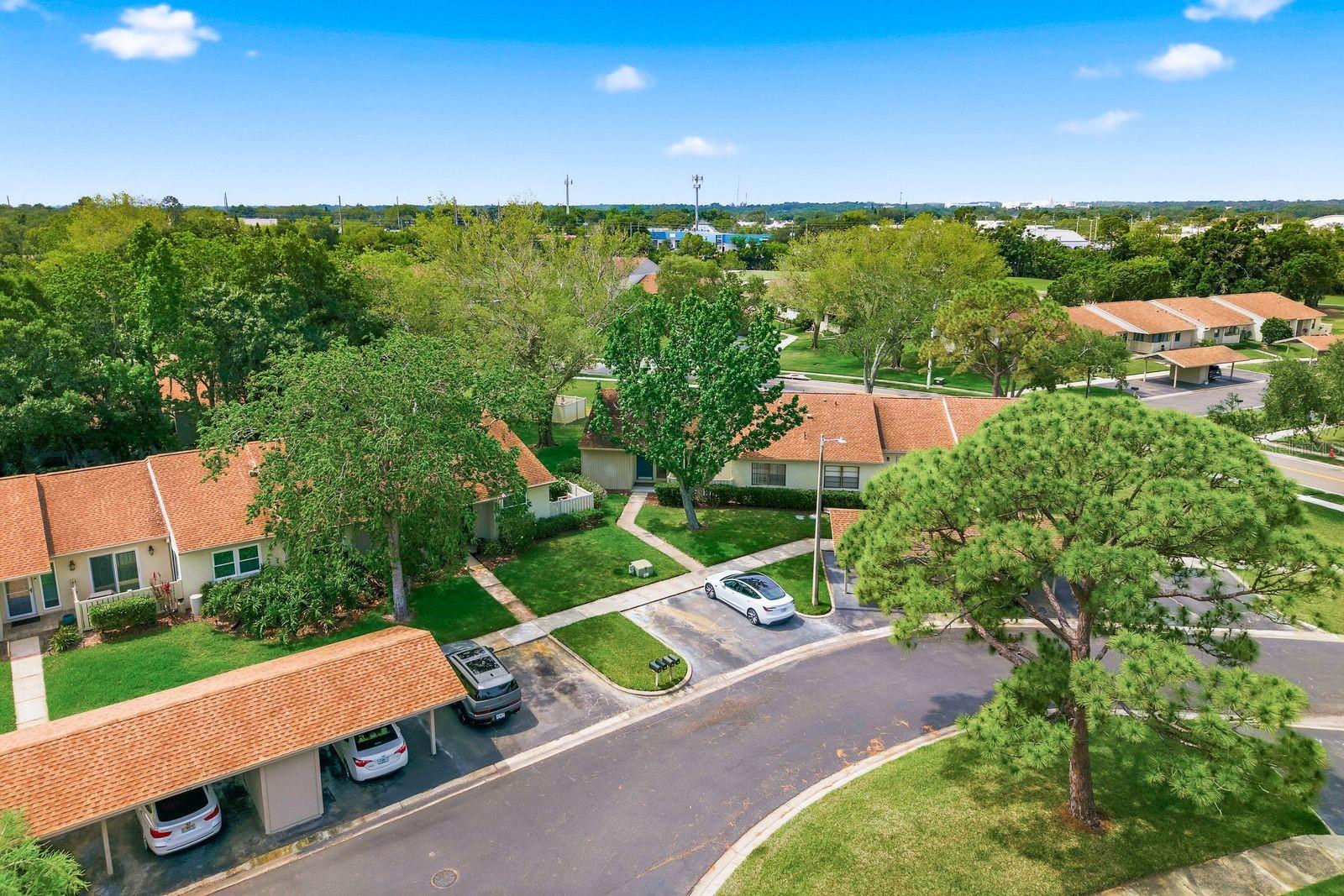EAST LAKE WOODLANDS CLUSTER HOMES - Residential