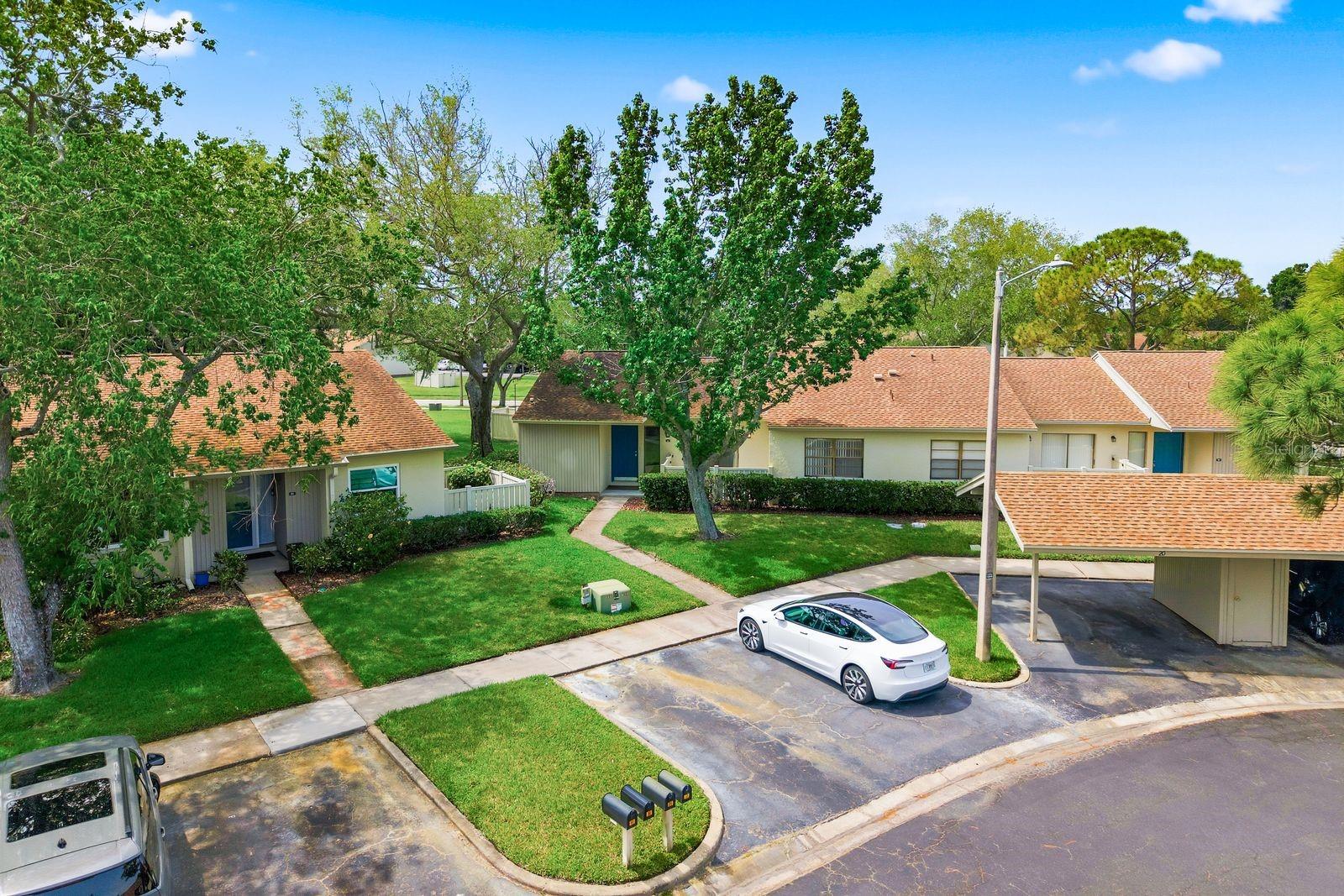 EAST LAKE WOODLANDS CLUSTER HOMES - Residential