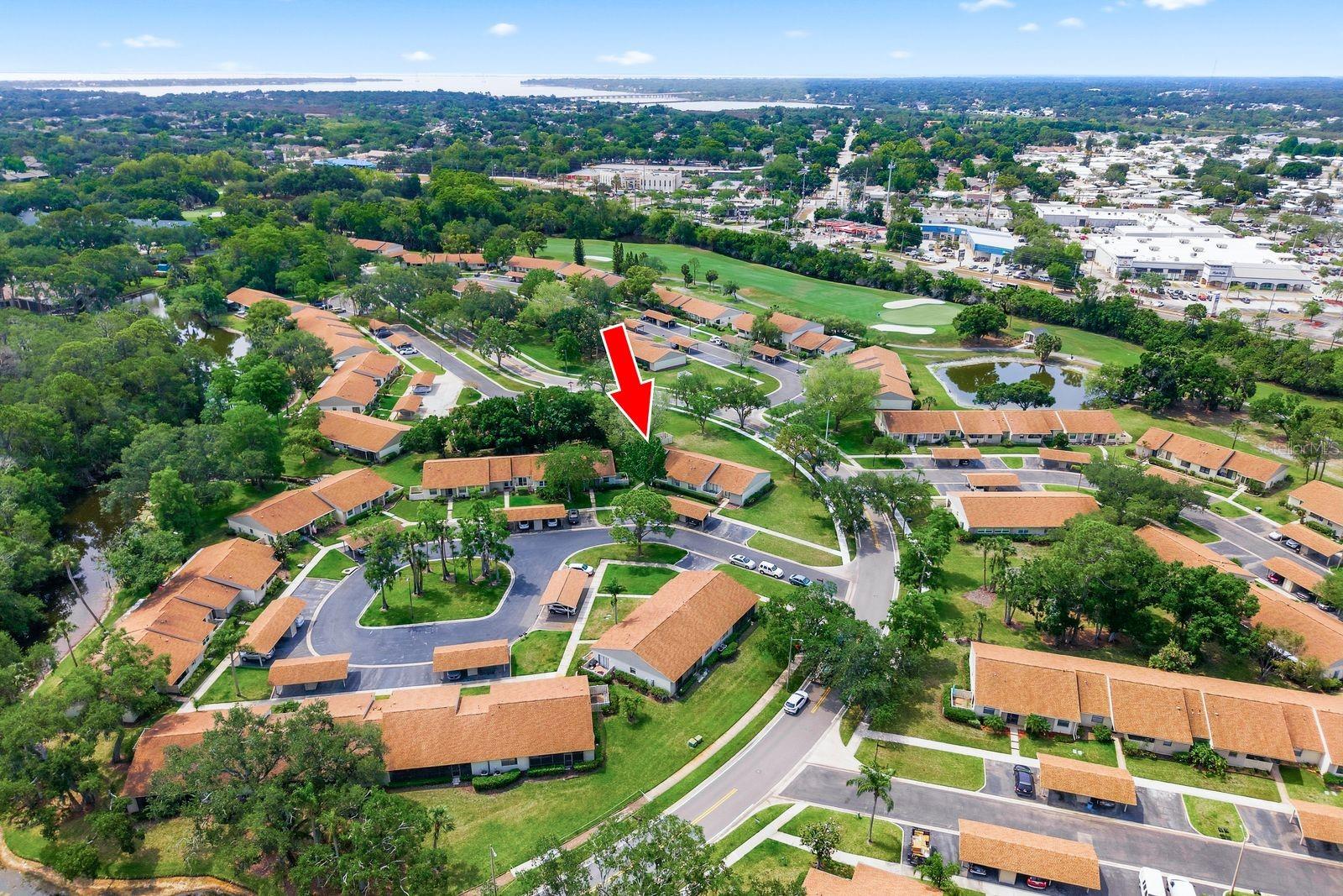 EAST LAKE WOODLANDS CLUSTER HOMES - Residential