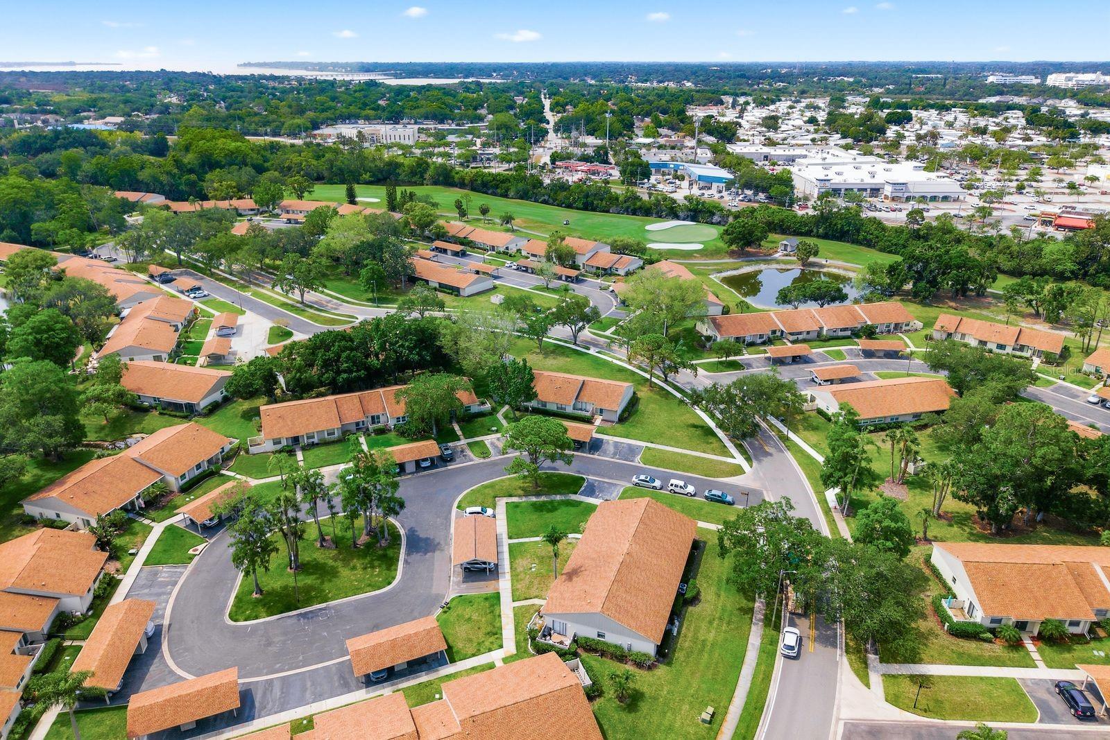 EAST LAKE WOODLANDS CLUSTER HOMES - Residential