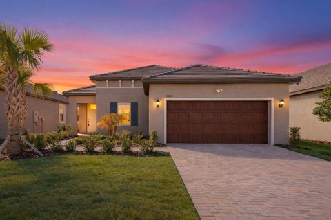 10661 TUPPER CAY DRIVE SAN ANTONIO FL 33576