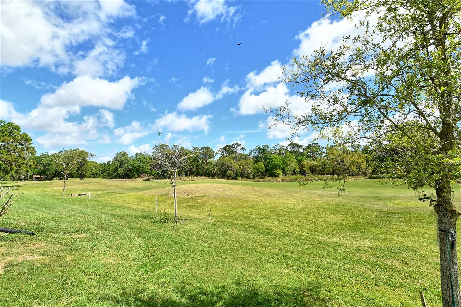 OAKLEY GREEN - Residential Lease
