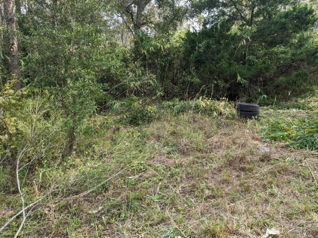 Photo of 12730 Eola Avenue, New Port Richey, FL 34654 (MLS # O6202534)