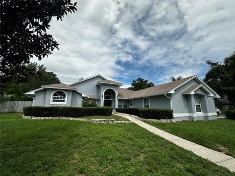 A home in APOPKA