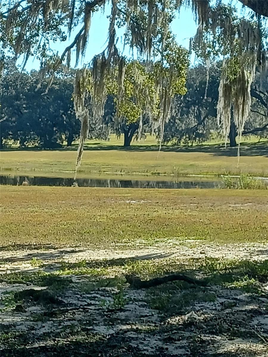 ROLLING HILLS UN 01 - Land