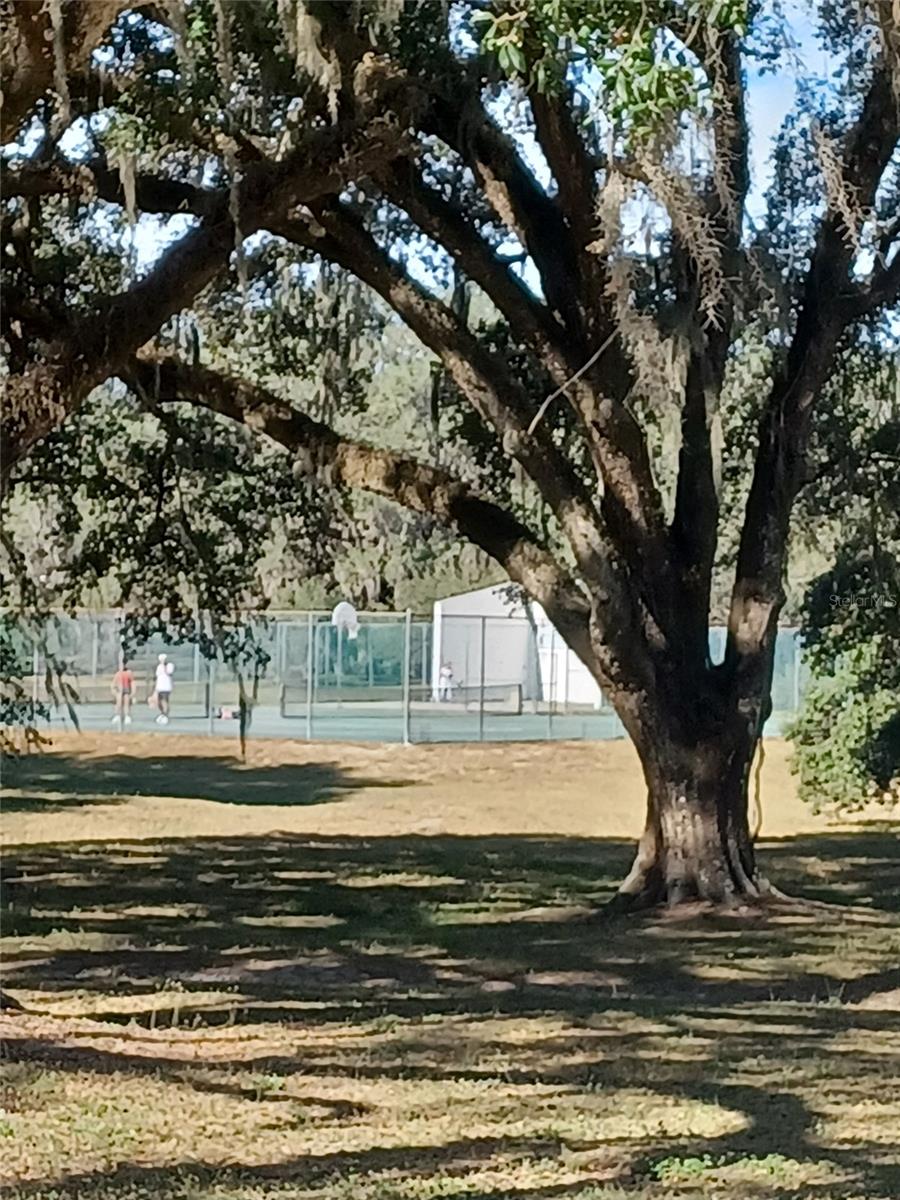 ROLLING HILLS UN 01 - Land