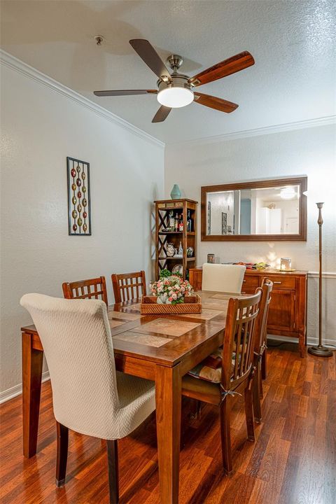 A home in TAMPA
