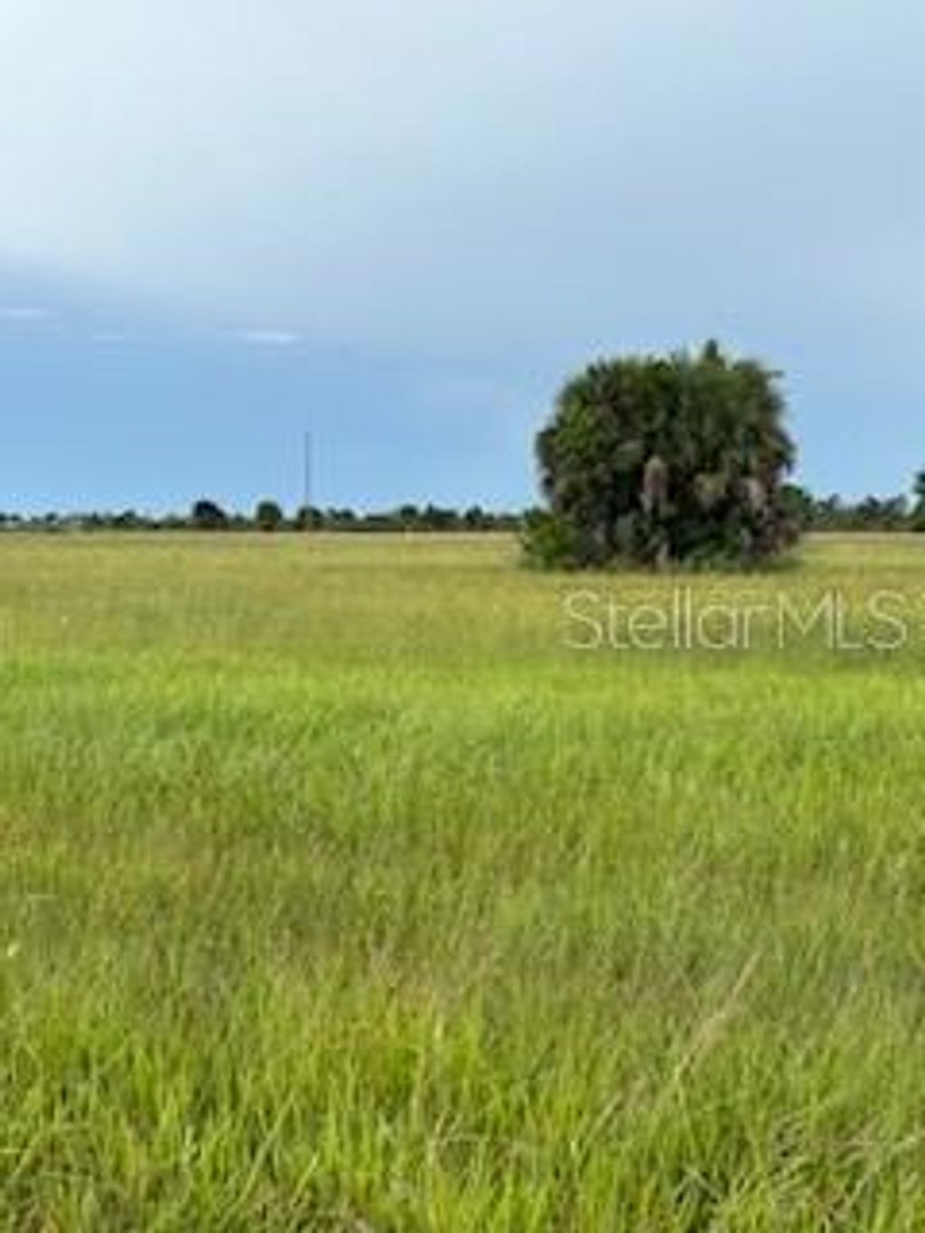 Photo of 14443 Sheepshead Drive, Placida, FL 33946 (MLS # C7515401)