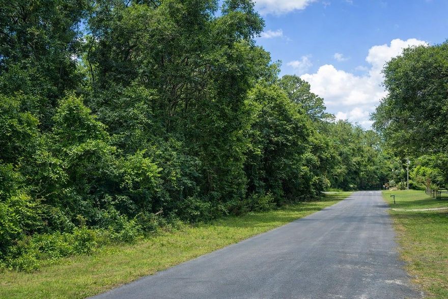 This lot is located in a rapidly growing area of Citrus Springs, surrounded by newly built homes and with a house under construction on the adjacent lot. With a prime location on a paved road and excellent topography, the lot offers a great opportunity for development, whether for residential construction or investment.Property Description:This 0.26-acre lot is situated in a quiet and expanding neighborhood, with multiple construction projects nearby. The infrastructure is already in place, with access to Citrus County Water Resources and electricity, making it easier to start building. In addition, the property is located only about 1,500 feet from the Withlacoochee River, offering a unique location for outdoor activities such as fishing, boating, and hiking along the river. As the area continues to develop, including a house under construction on the neighboring lot, this region offers excellent potential for appreciation.Key Features:Prime Location: Well-established neighborhood with nearby new developments, driving property value appreciation.R1 Zoning: Ideal for building a single-family home.No HOA Fees: No additional costs or restrictions from a homeowner’s association.Utilities Available: Water and electricity are available on-site, simplifying the building process.Excellent Topography: Level lot, ready for construction.Proximity to the Withlacoochee River: Just 1,500 feet away, offering easy access to outdoor activities and natural tranquility.Location Advantages:Easy Access to Major Roads: Close to US-41 and FL-40, providing convenient travel to cities like Tampa and Orlando.Natural Attractions: Only 20 minutes (approximately 20 miles) from Rainbow Springs State Park and about an hour (approximately 50 miles) from Gulf of Mexico beaches, offering plenty of outdoor activities.Great Investment Potential: Strategically located in a growing neighborhood with ready infrastructure and ongoing development, making it an excellent opportunity for builders and investors.Nearby Points of Interest:Markets: The nearest Winn-Dixie is about 2.8 miles (approximately 7 minutes by car), and Publix is around 3.4 miles (about 8 minutes by car).Schools: Citrus Springs Middle School is about 2.2 miles (approximately 5 minutes by car), and Citrus Springs Elementary School is around 2.5 miles (about 6 minutes by car).Attractions: Rainbow Springs State Park is 20 minutes (approximately 20 miles) away, and Crystal River Preserve State Park is about 25 minutes (approximately 25 miles) away.Additional Local Advantage:The property is situated on a quiet street with several ongoing construction projects nearby, creating a peaceful atmosphere while being part of a growing community. Additionally, its proximity to the Withlacoochee River offers a unique natural setting and an excellent opportunity for those seeking an outdoor lifestyle, enjoying fishing, river recreation, and the tranquility of the area.
