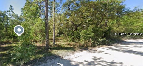 Tiny photo for 5295 S June Terrace, Homosassa, FL 34446 (MLS # TB8561731)