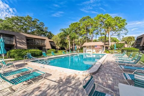 A home in SARASOTA