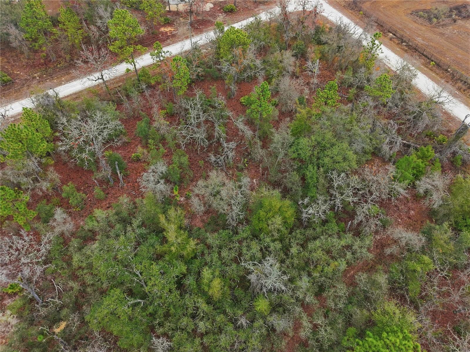 ROYAL HIGHLANDS - Land