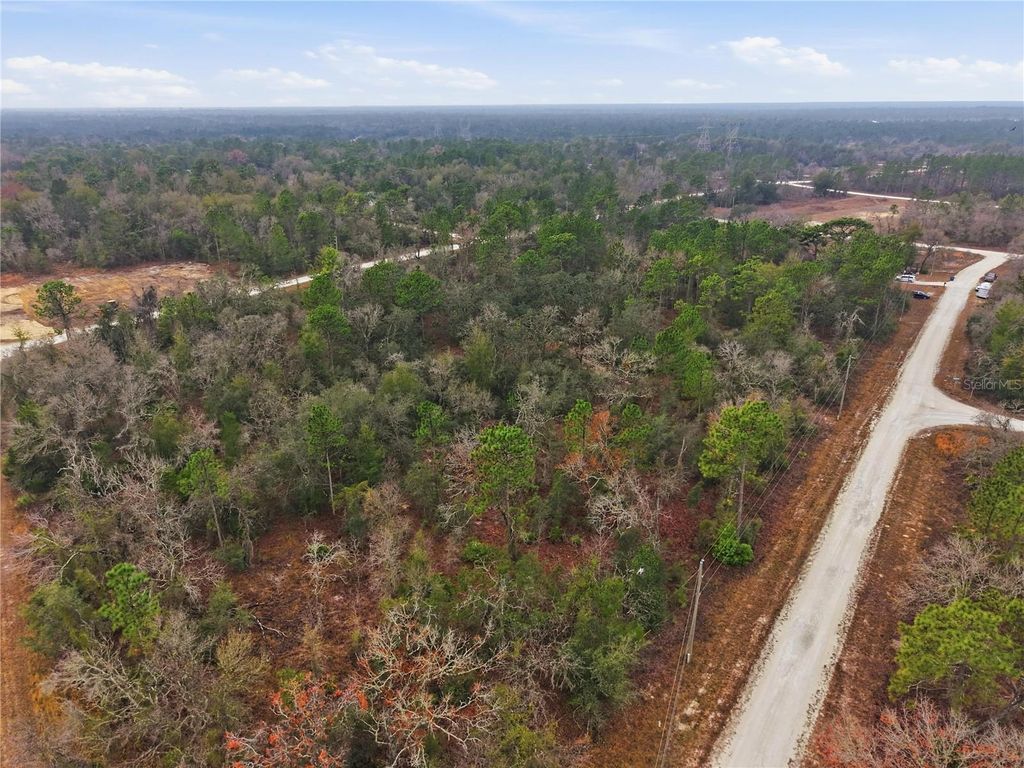 Photo of 14080 Cagarro Road, Brooksville, FL 34614 (MLS # W7882704)