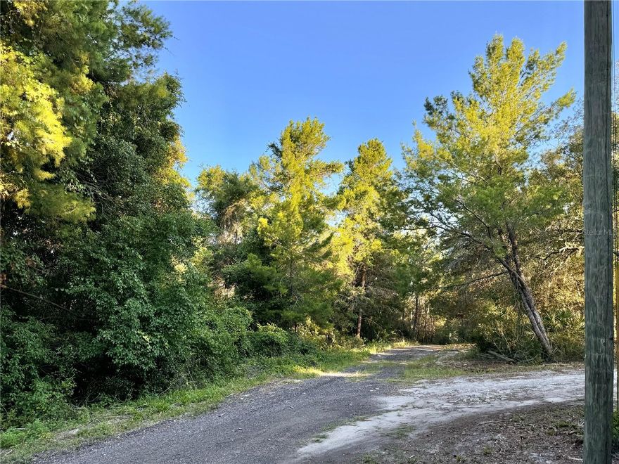 Buildable on 0.46 of an acre unincorporated area of DeLeon Springs. No HOA. High and dry surrounded by beautiful trees that are perfect for privacy. Call today. Located near downtown DeLand.
