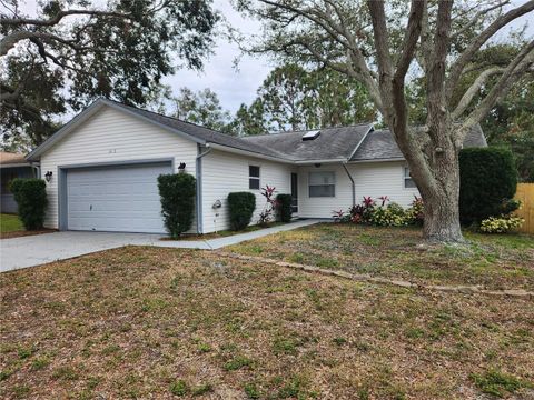 A home in PALM HARBOR