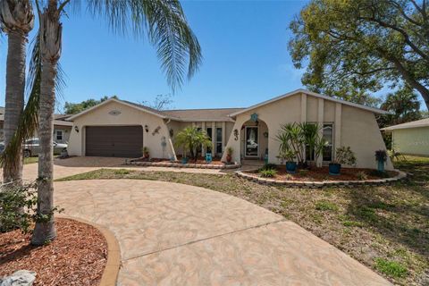 Photo of 7104 Bramblewood Drive, Port Richey, FL 34668 (MLS # TB8484505)