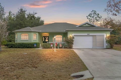 A home in CITRUS SPRINGS